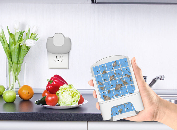 Wowcatch JT02 Indoor Flying Insect Trap