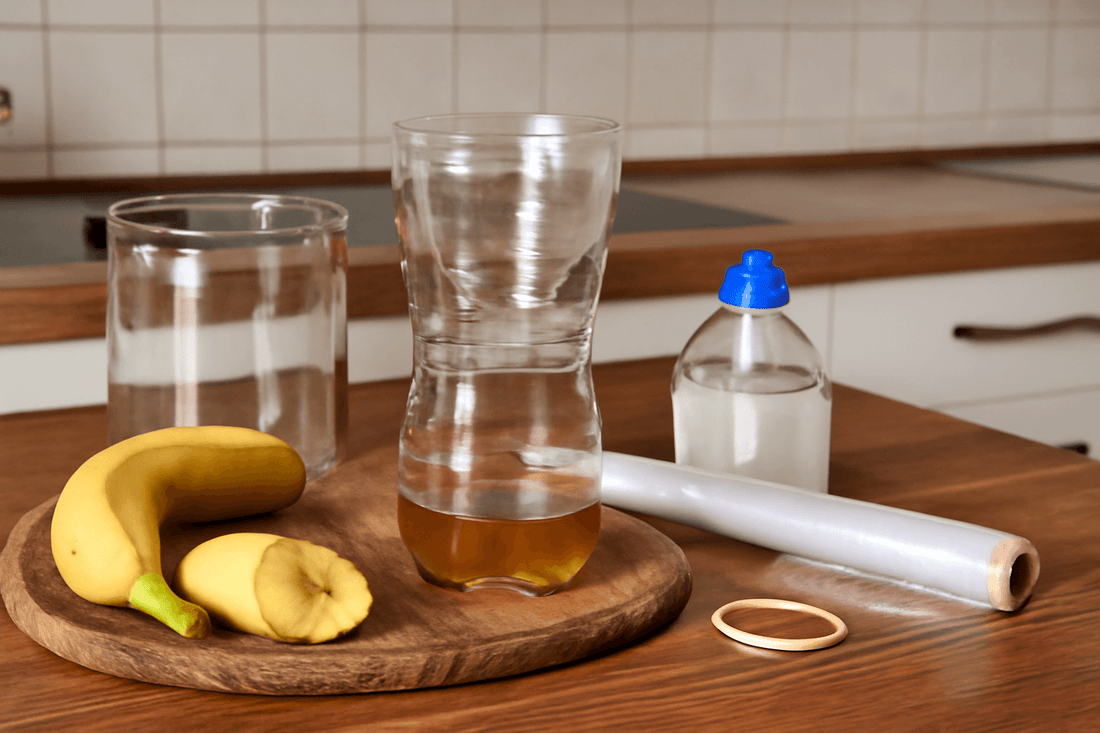 DIY Fly Trap Indoor with Trash