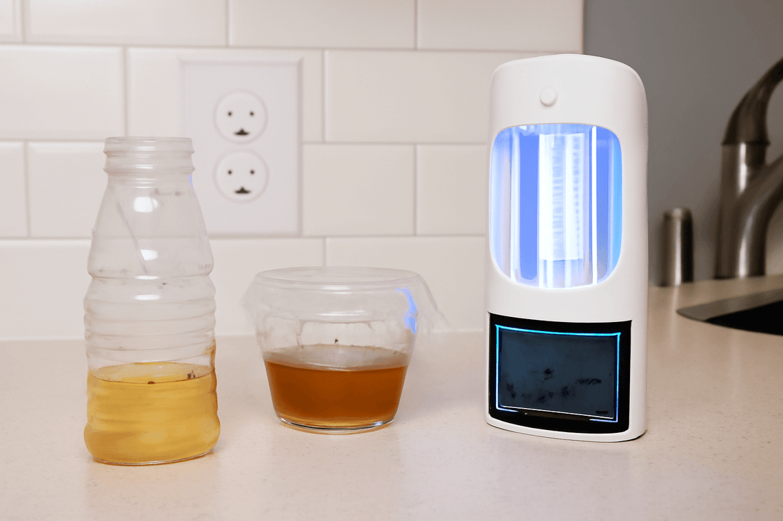 DIY and store-bought flying insect traps