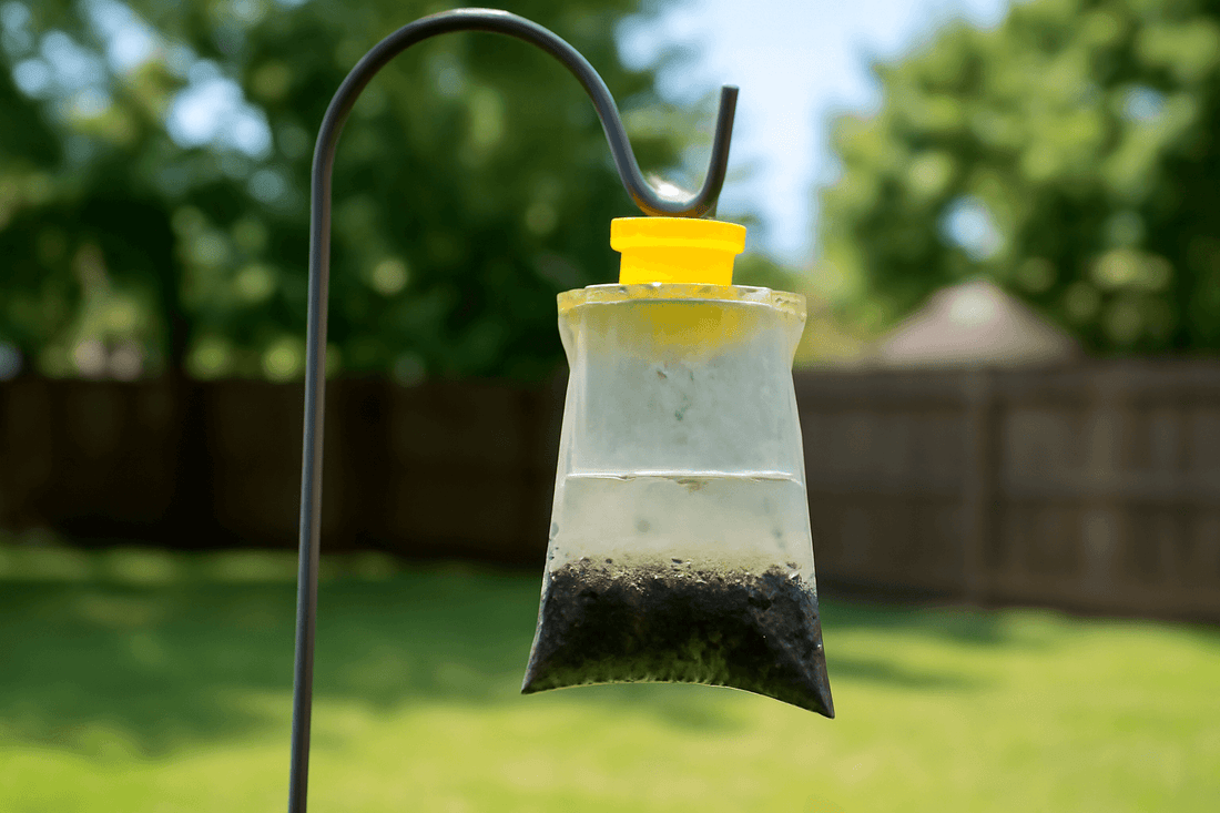  Fly Trap Bag