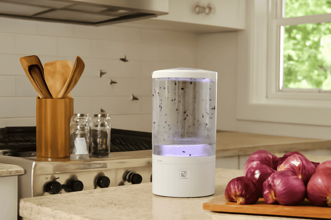 10 Best House Fly Trap Options for a Pest-Free Home in 2025