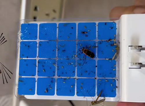 Flying Insect Traps under $30 - Wowcatch JT01