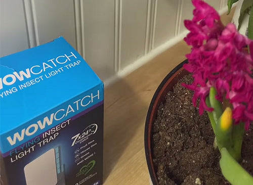 Wowcatch JT01  Double-side Flying Insect Trap  (32)