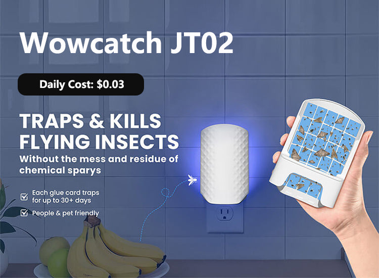 4 Hot-Selling Flying Insect Trap Refills of 2025: Which One Is More Affordable?