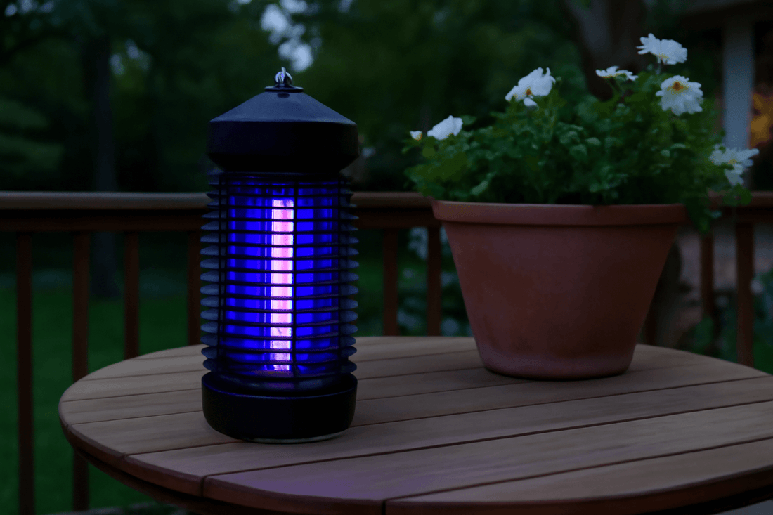 bug zapper in the yard
