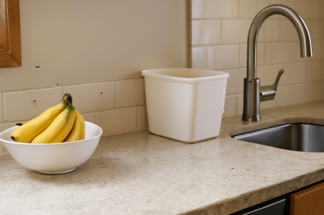 flies around the banana in kitchen