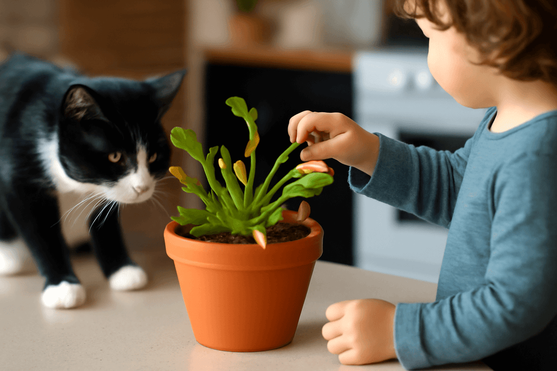 Are Fly Trap Plants Safe for Pets and Children?