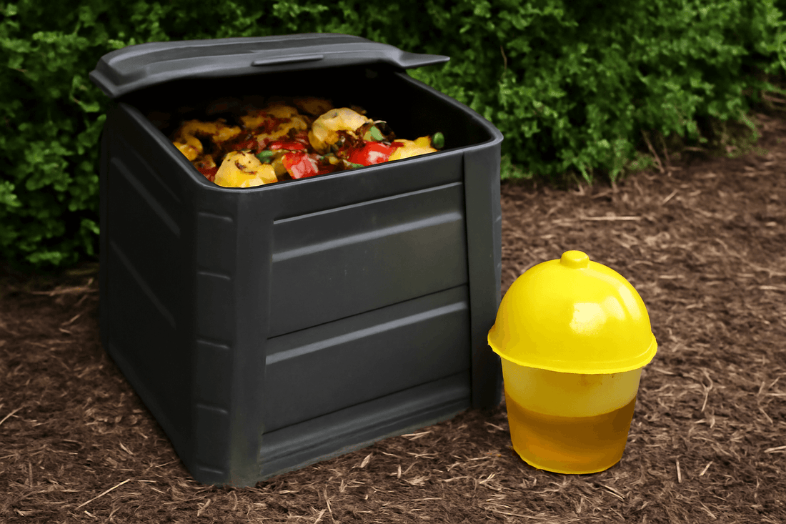 fruit fly in the compost bins