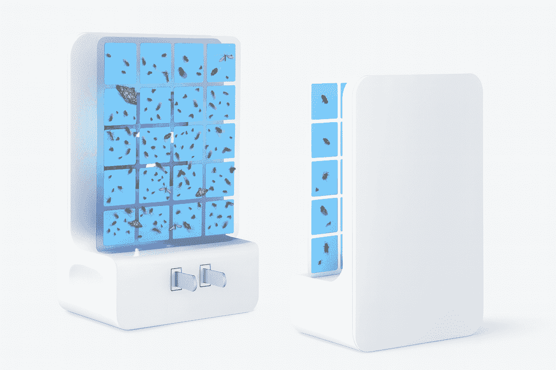 How to  Get Rid of Fruit Flies Fast and Long-lasting Protection, a WOWCATCH is Enough