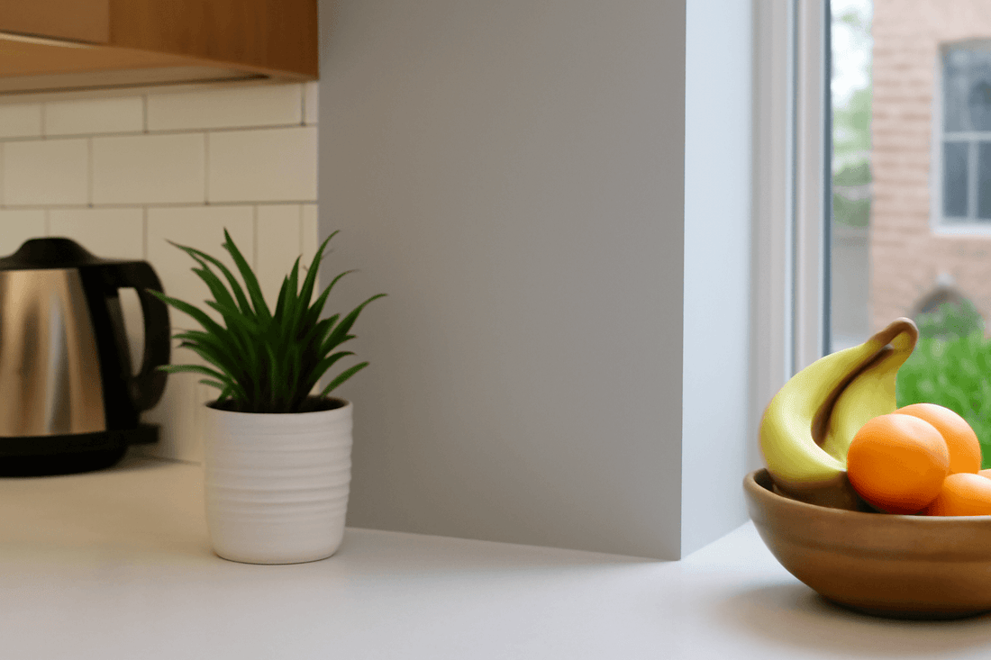 indoor fly trap for apartments