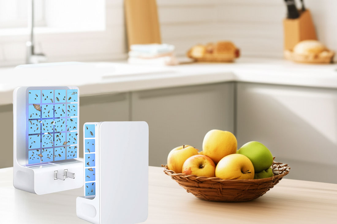 Why WOWCATCH Is the Smarter Plug in Bug Trap for Modern Homes?
