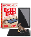 WowCatch Super Strong Mouse Glue Traps - Effective Rodent Control