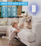 Indoor Flying Insect Trap - Bug Killer for Fruit Flies, Gnats, Moths & Houseflies, 1 Device + 4 Refills