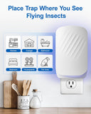 Flying Insect Trap: Plug-in Fly Trap for Fruit Flies, Gnats, Moths & House Flies - Silent UV Light Indoor Bug Catcher for Home, Kitchen & Pet Area, Chemical-Free & Non-Toxic Safe for Kids & Pets, Includes 5 Refillable Sticky Glue Boards, Easy to Use