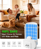 Flying Insect Trap: Plug-in Fly Trap for Fruit Flies, Gnats, Moths & House Flies - Silent UV Light Indoor Bug Catcher for Home, Kitchen & Pet Area, Chemical-Free & Non-Toxic Safe for Kids & Pets, Includes 5 Refillable Sticky Glue Boards, Easy to Use